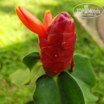 фото из отзыва ID 2113019