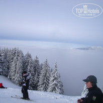 фото из отзыва ID 2113056