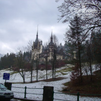 фото из отзыва ID 2113056