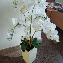 фото из отзыва ID 2113051