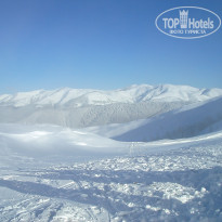 фото из отзыва ID 2113056