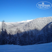 фото из отзыва ID 2113056