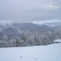 фото из отзыва ID 2113056