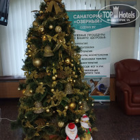 фото из отзыва ID 2113051