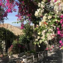 фото из отзыва ID 2113101