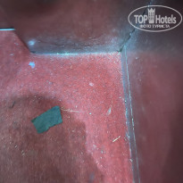 фото из отзыва ID 2112985