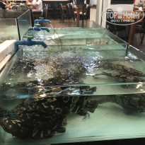 фото из отзыва ID 2113076