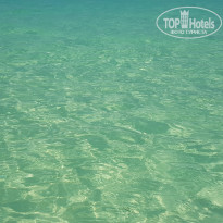 фото из отзыва ID 2113148