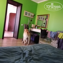 фото из отзыва ID 2113154