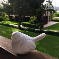 фото из отзыва ID 2113179