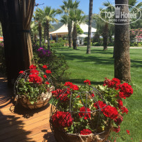 фото из отзыва ID 2113179