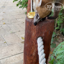 фото из отзыва ID 2113194