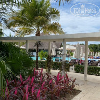 фото из отзыва ID 2113194