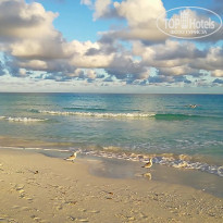 фото из отзыва ID 2112048