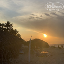 фото из отзыва ID 2113202