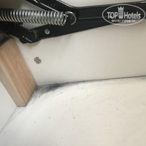 фото из отзыва ID 2113260