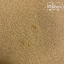 фото из отзыва ID 2113280