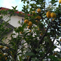 фото из отзыва ID 2113287