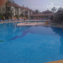 фото из отзыва ID 2113287