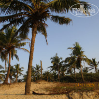 фото из отзыва ID 2113334