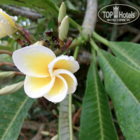 фото из отзыва ID 2113362