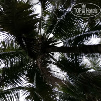 фото из отзыва ID 2113362