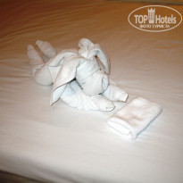 фото из отзыва ID 2113364