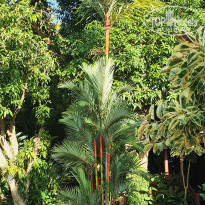 фото из отзыва ID 2113436