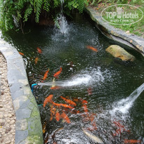 фото из отзыва ID 2113436