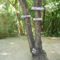 фото из отзыва ID 2113446