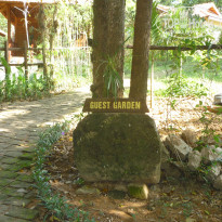 фото из отзыва ID 2113446