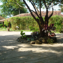 фото из отзыва ID 2113446