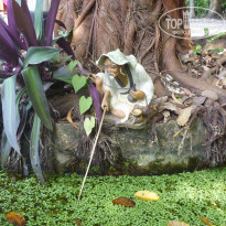 фото из отзыва ID 2113446