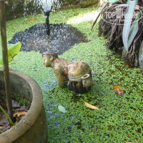 фото из отзыва ID 2113446