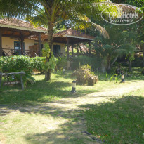 фото из отзыва ID 2113446