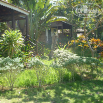 фото из отзыва ID 2113446