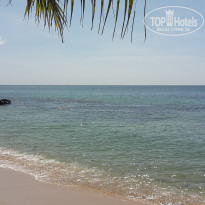 фото из отзыва ID 2113446