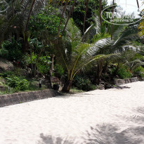 фото из отзыва ID 2113446