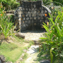 фото из отзыва ID 2113446