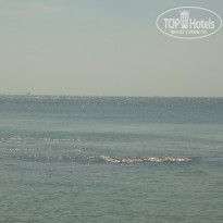 фото из отзыва ID 2113446