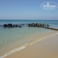 фото из отзыва ID 2113446