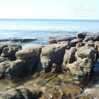 фото из отзыва ID 2113446