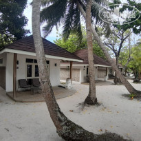 фото из отзыва ID 2113475