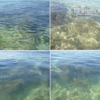 фото из отзыва ID 2113446