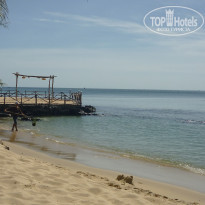 фото из отзыва ID 2113446