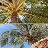 фото из отзыва ID 2113446