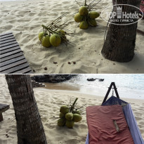 фото из отзыва ID 2113446