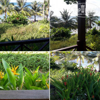 фото из отзыва ID 2113446