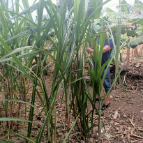 фото из отзыва ID 2113408