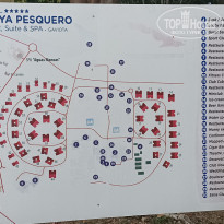 фото из отзыва ID 2113408